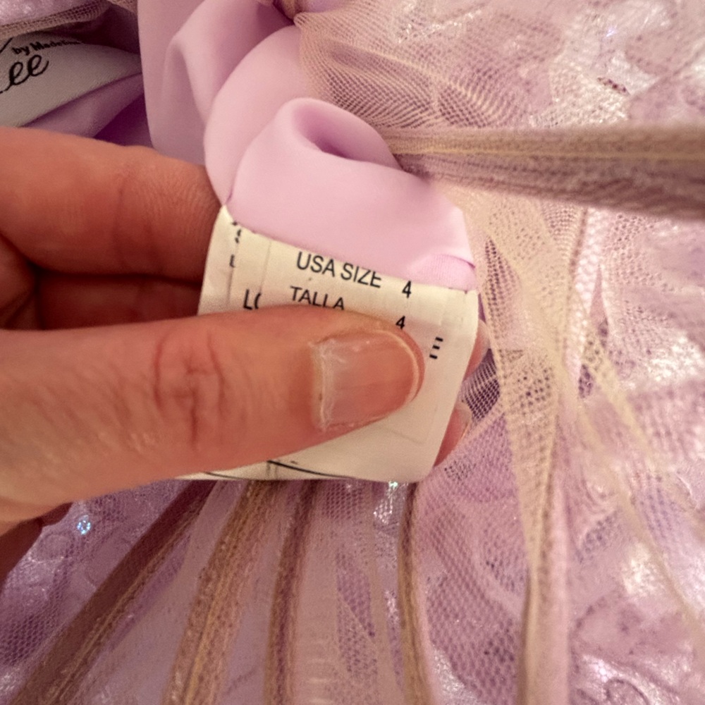 Mori Lee by Madeline Gardner gown in purple. Showstoppingly gorgeous in EUC. - Picture 6 of 14